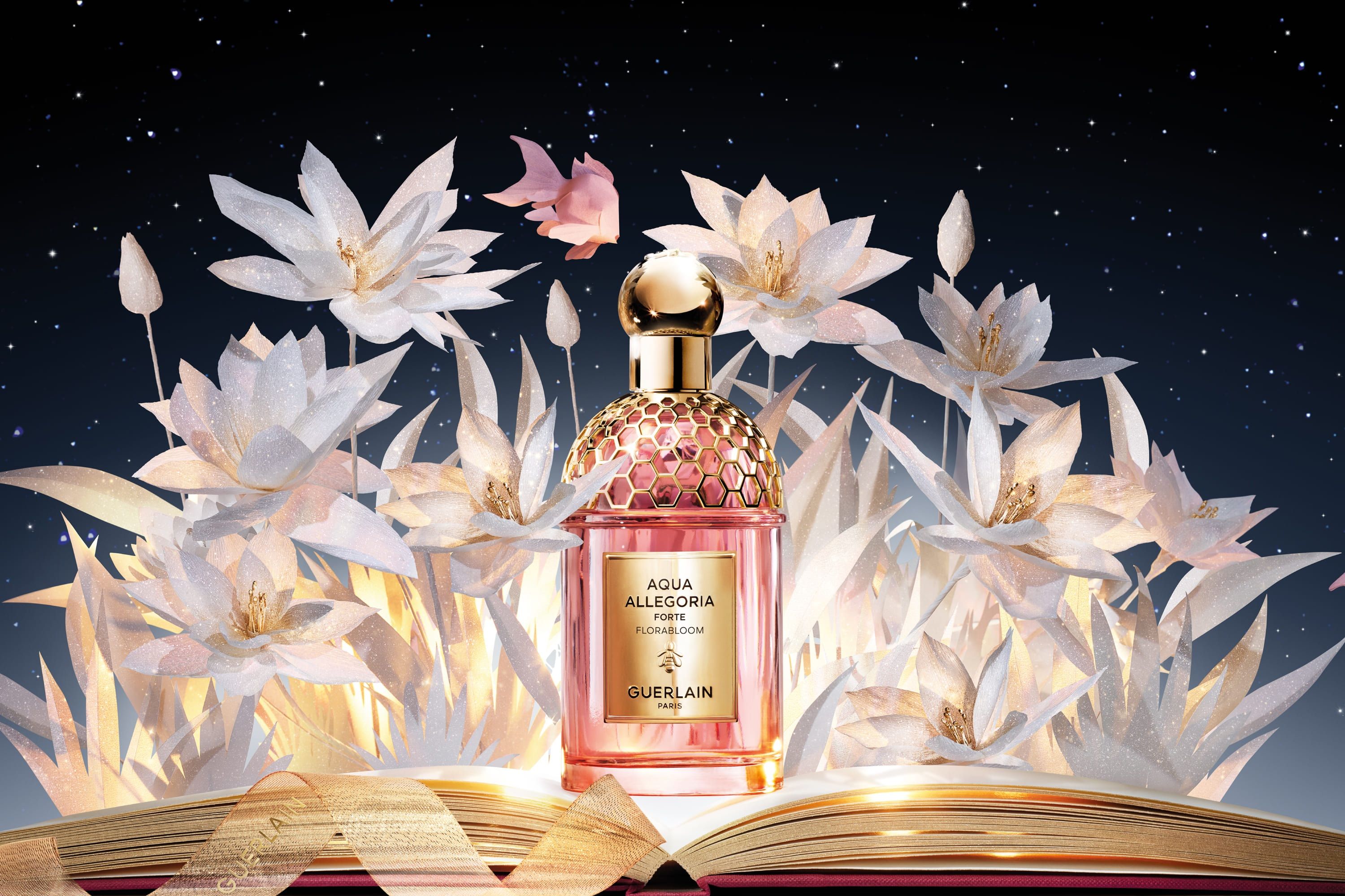 Immagine Card Categoria/Servizi/Promozione