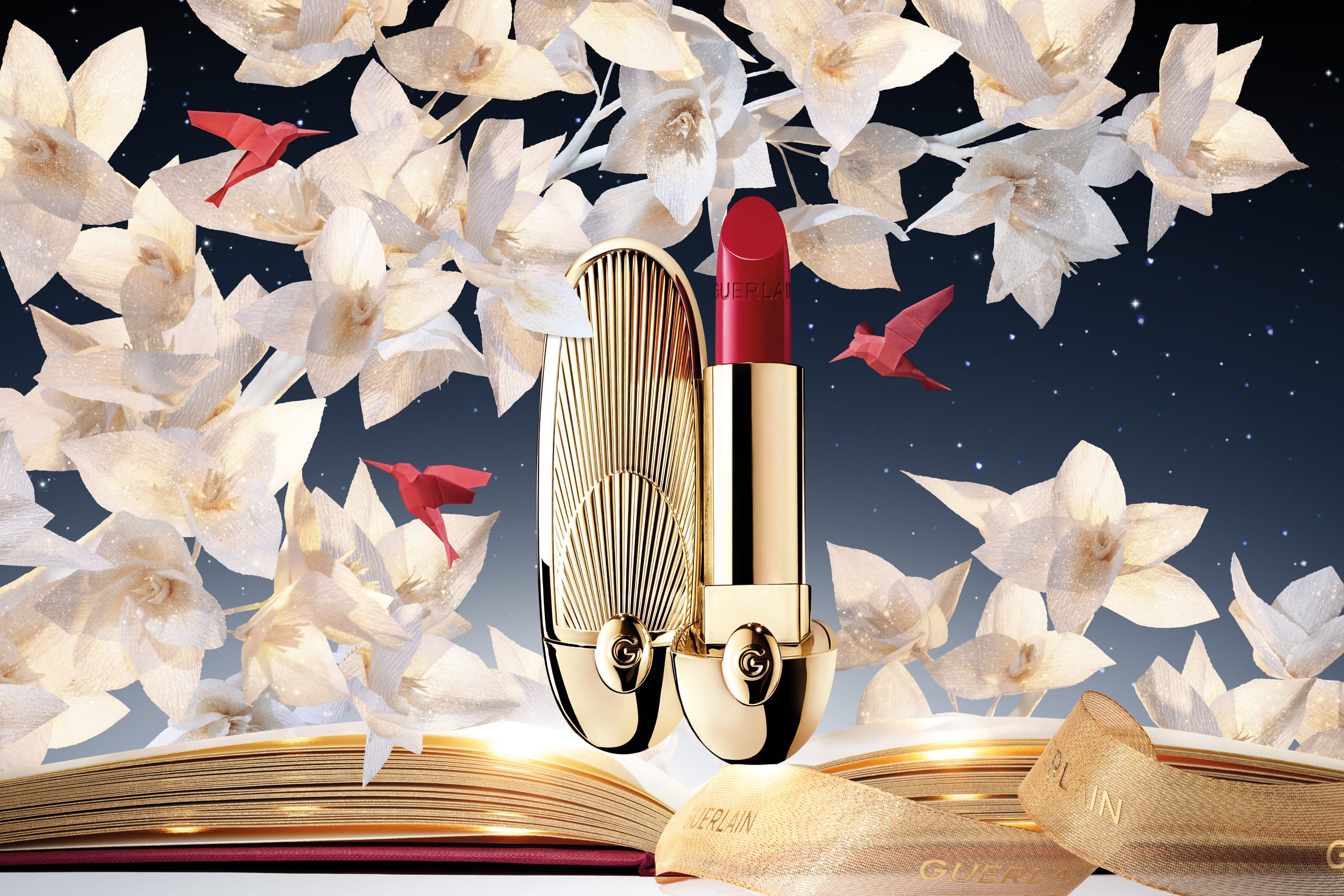 Immagine Card Categoria/Servizi/Promozione