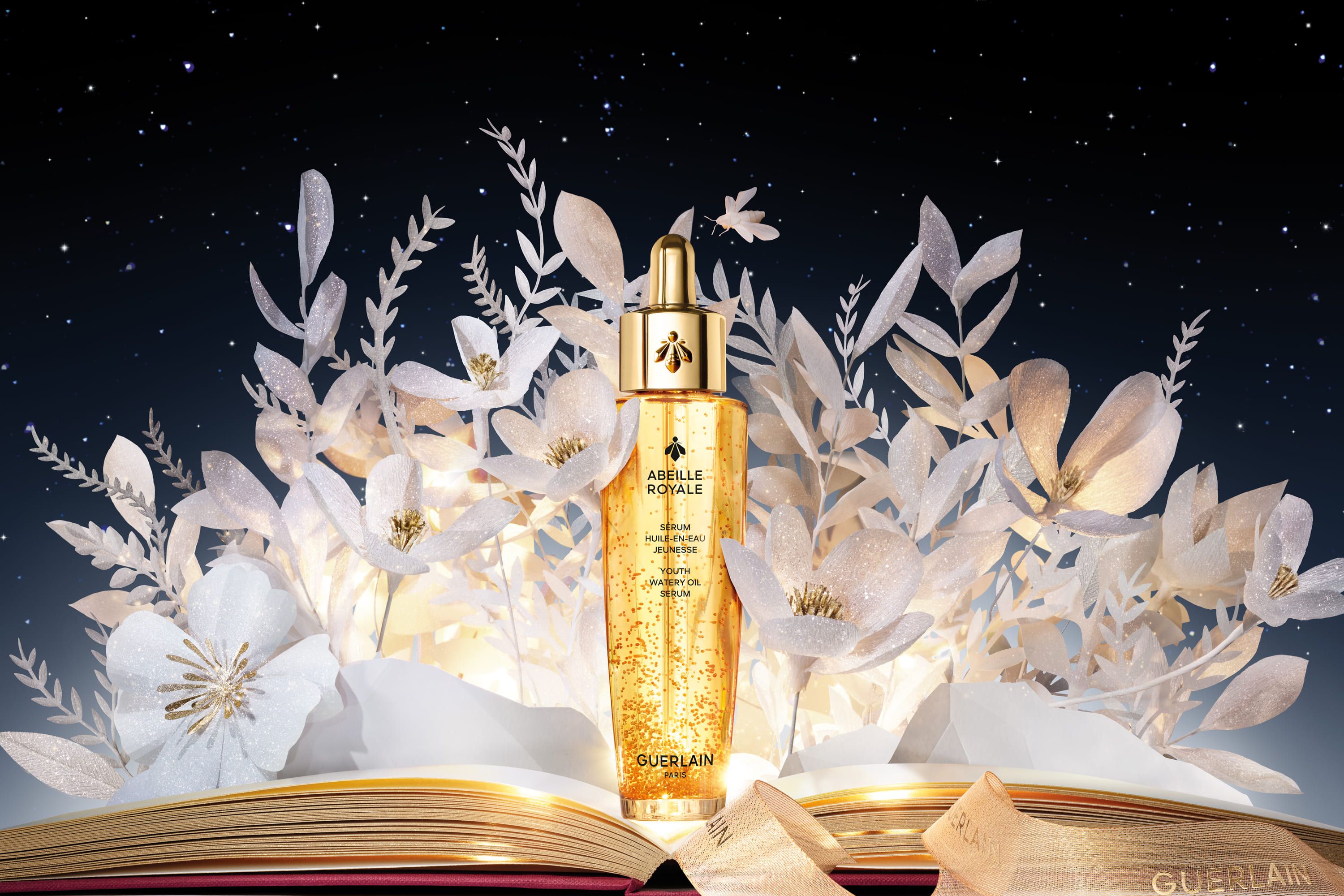 Immagine Card Categoria/Servizi/Promozione