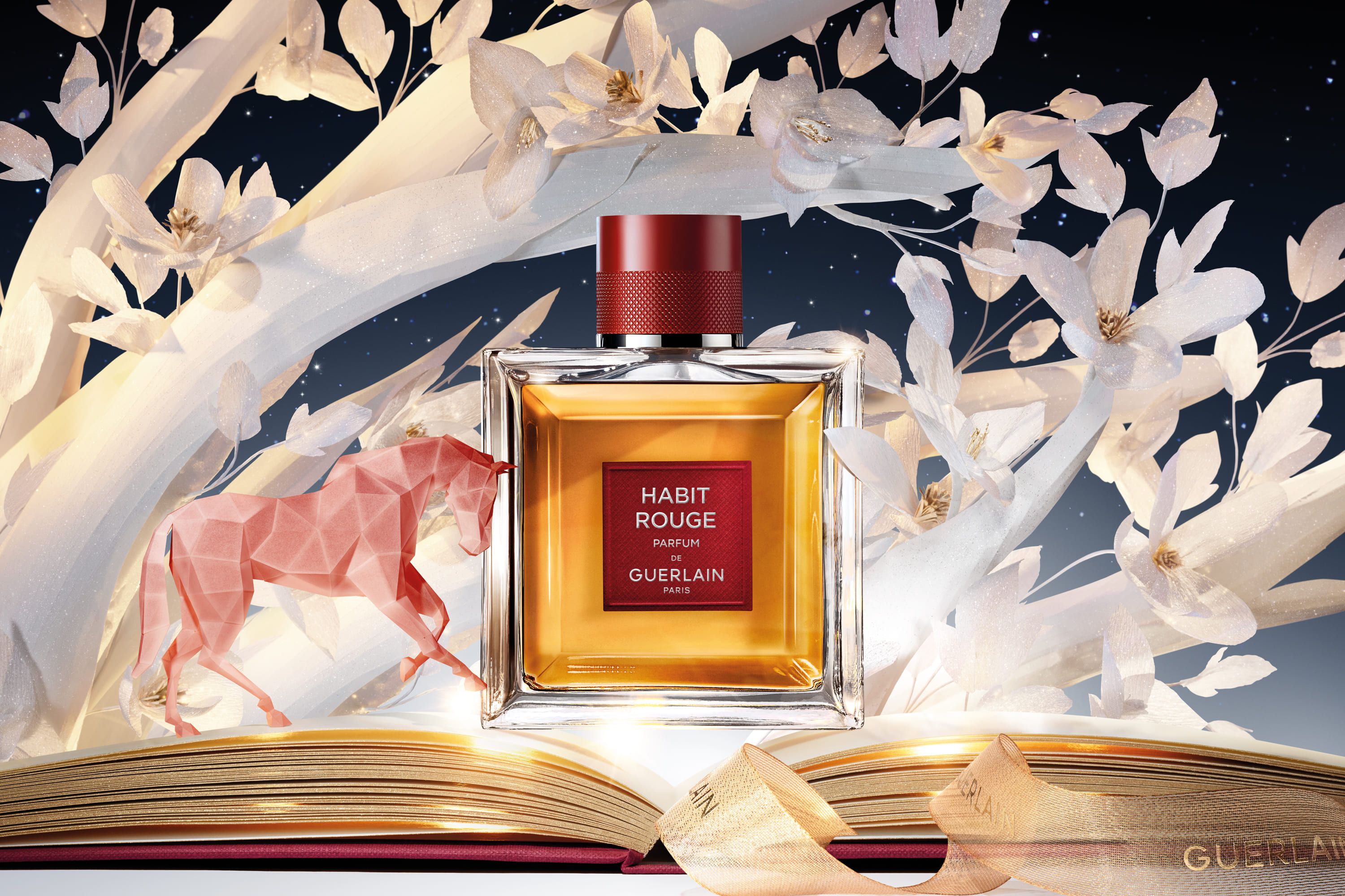 Immagine Card Categoria/Servizi/Promozione