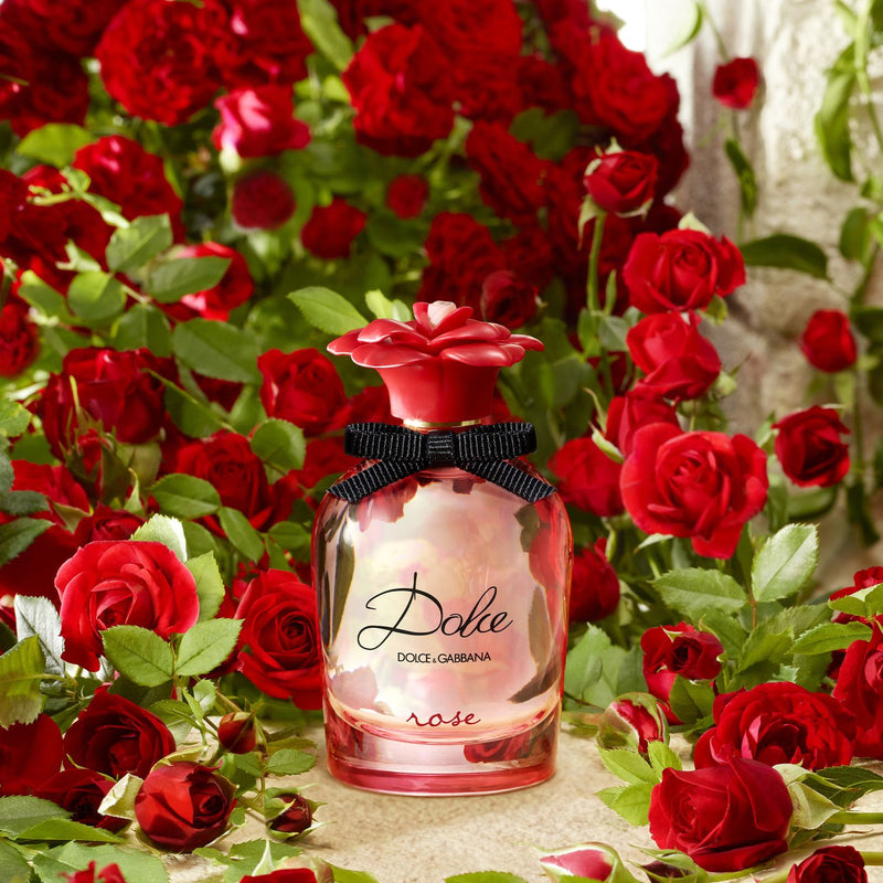 Rose Dolce&amp;Gabbana 
