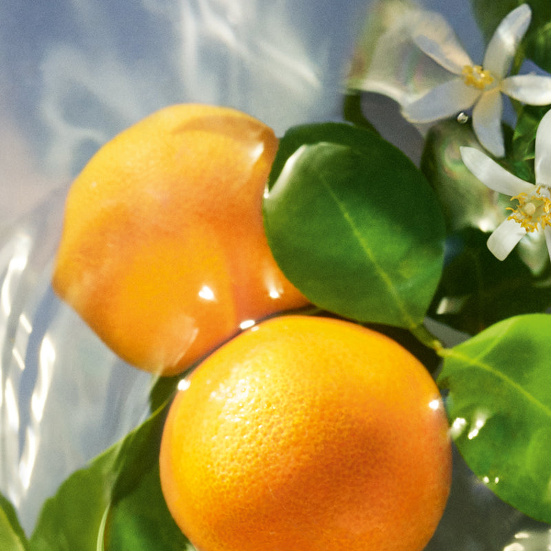 Mandarine Basilic