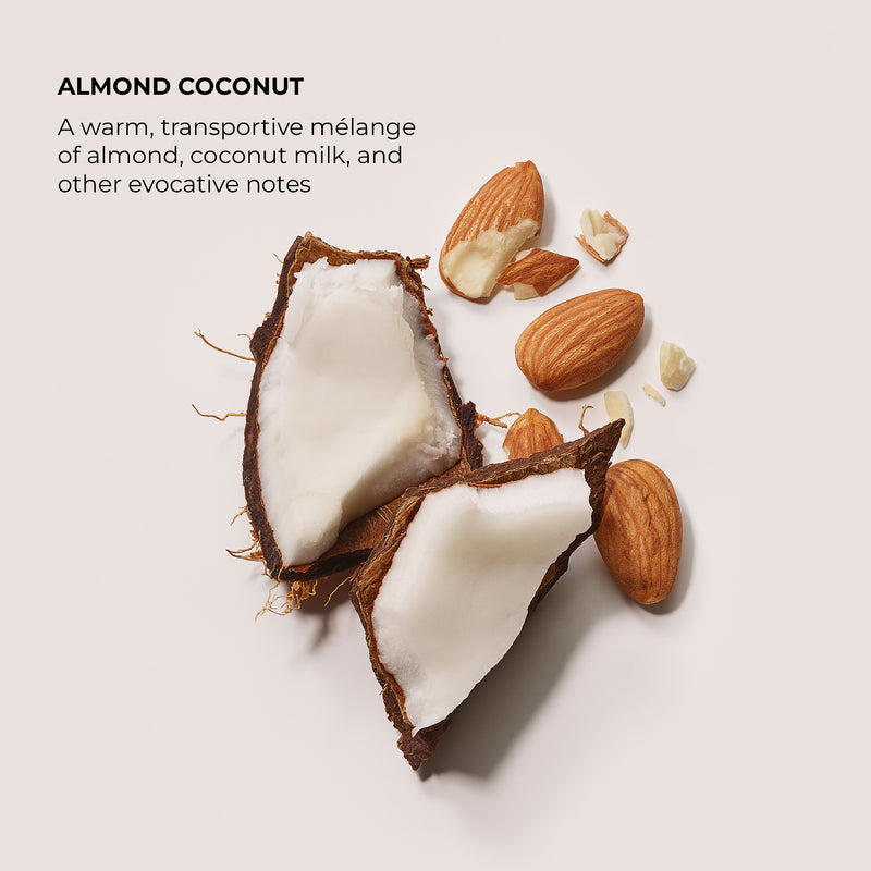 Exfoliating Body Wash Almond Coconut