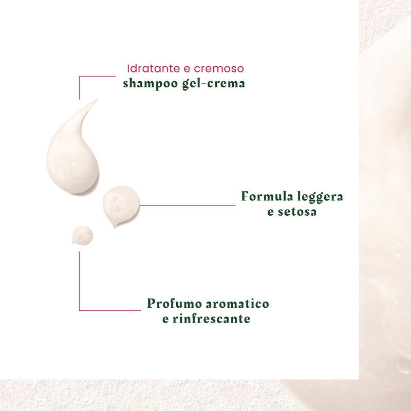 Shampooing Antipelliculaire &Eacute;quilibrant (forfora secca) Rene Furterer 